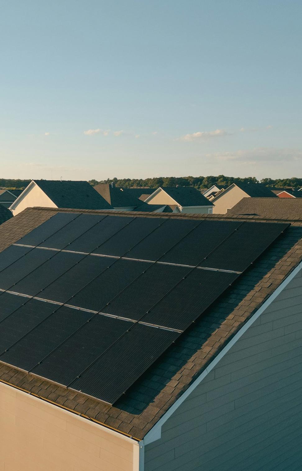 Category Background 1